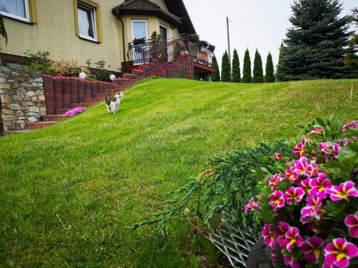 Swierkowy Zakatek Gorno  Buitenkant foto